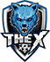 TheX